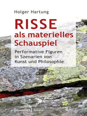 cover image of Risse als materielles Schauspiel